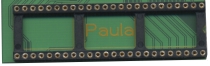 Socket Adapter's Paula Socket